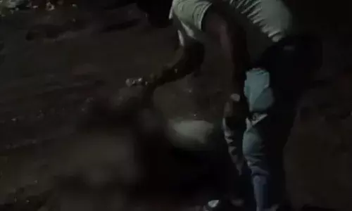 गाय को ऑटो में बांधकर कई किलोमीटर तक घसीटा, बुरी तरह हुई घायल..आंख की रोशनी गई, पुलिस की गिरफ्त में आरोपी युवक गाय को ऑटो में बांधकर कई किलोमीटर तक घसीटा, बुरी तरह हुई घायल..आंख की रोशनी गई, पुलिस की गिरफ्त में आरोपी युवक