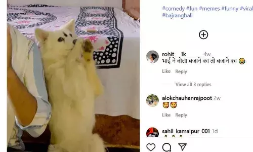 भक्ति में लीन हो गया डोगेश! मालिक ने जब ताली बजाने बोला तो बिना कुछ कहे कुत्ते ने बजाई तालियां, वीडियो हो रहा वायरल