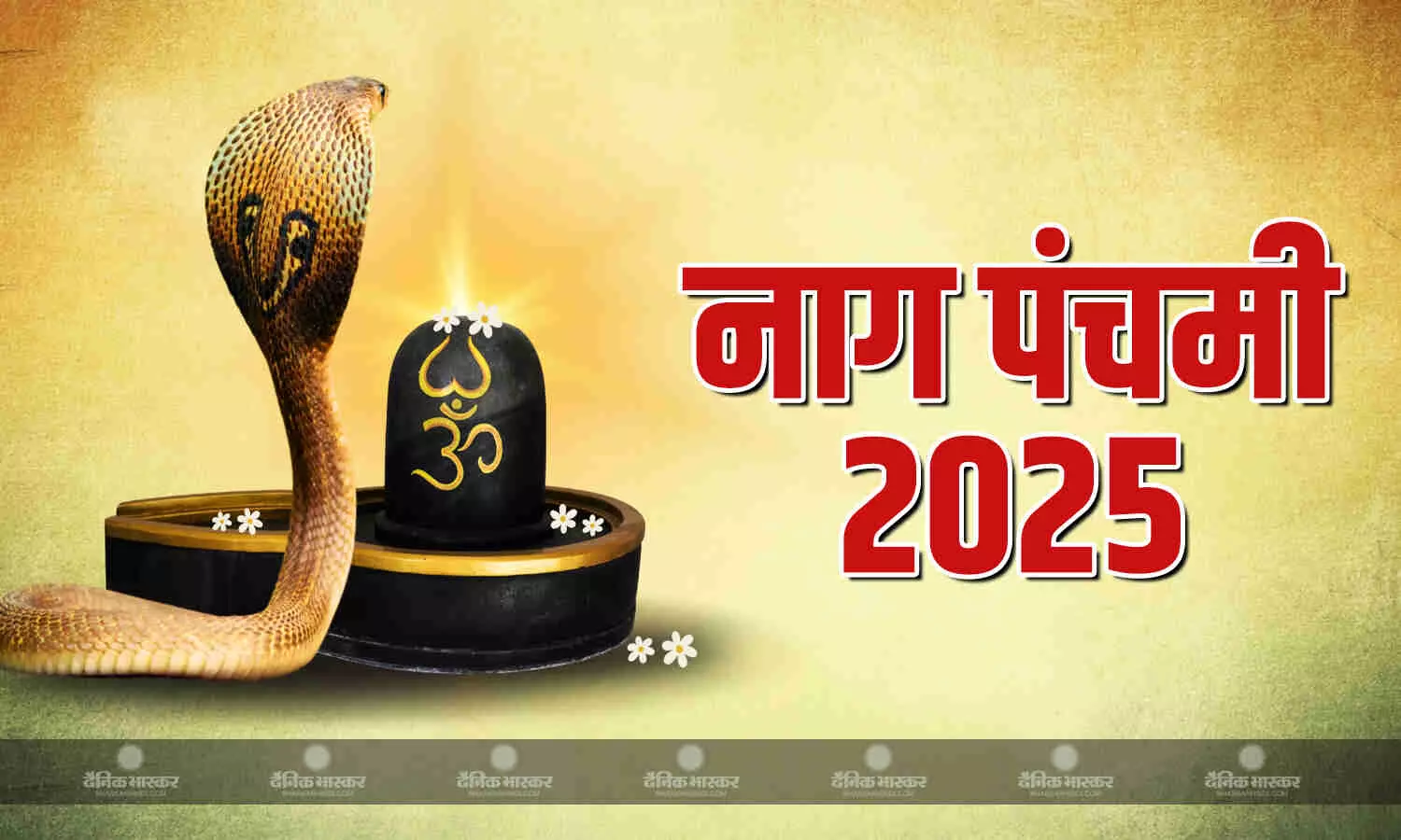 कई वर्षों बाद नाग पंचमी पर बना दुर्लभ संयोग, जानिए पूजा का शुभ मुहूर्त और विधि कई वर्षों बाद नाग पंचमी पर बना दुर्लभ संयोग, जानिए पूजा का शुभ मुहूर्त और विधि