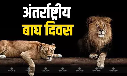 भारत ने बाघ आबादी को संरक्षित करने और बाघ अभ्यारण्यों और जंगलों की संख्या बढ़ाने में अहम प्रगति हासिल की