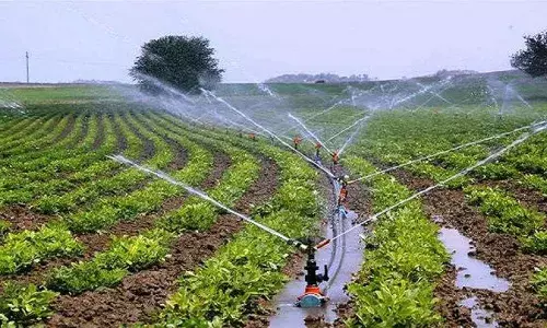 गड़चिरोली के किसान अब विदेशों से सीखकर आएंगे आधुनिक खेती की तकनीक