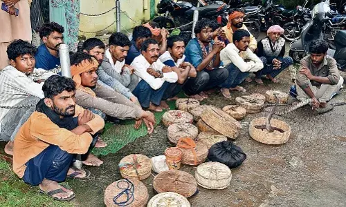 कोबरा और धामन प्रजाति के 58 सांपों का किया रेस्क्यू