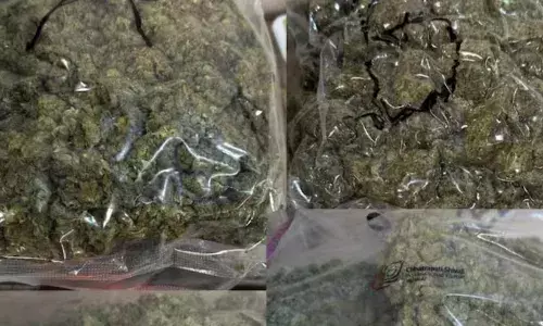 मुंबई एयरपोर्ट पर करोड़ों रुपए की अवैध ड्रग्स पुलिस ने की जब्त, चार यात्री अरेस्ट मुंबई एयरपोर्ट पर करोड़ों रुपए की अवैध ड्रग्स पुलिस ने की जब्त, चार यात्री अरेस्ट