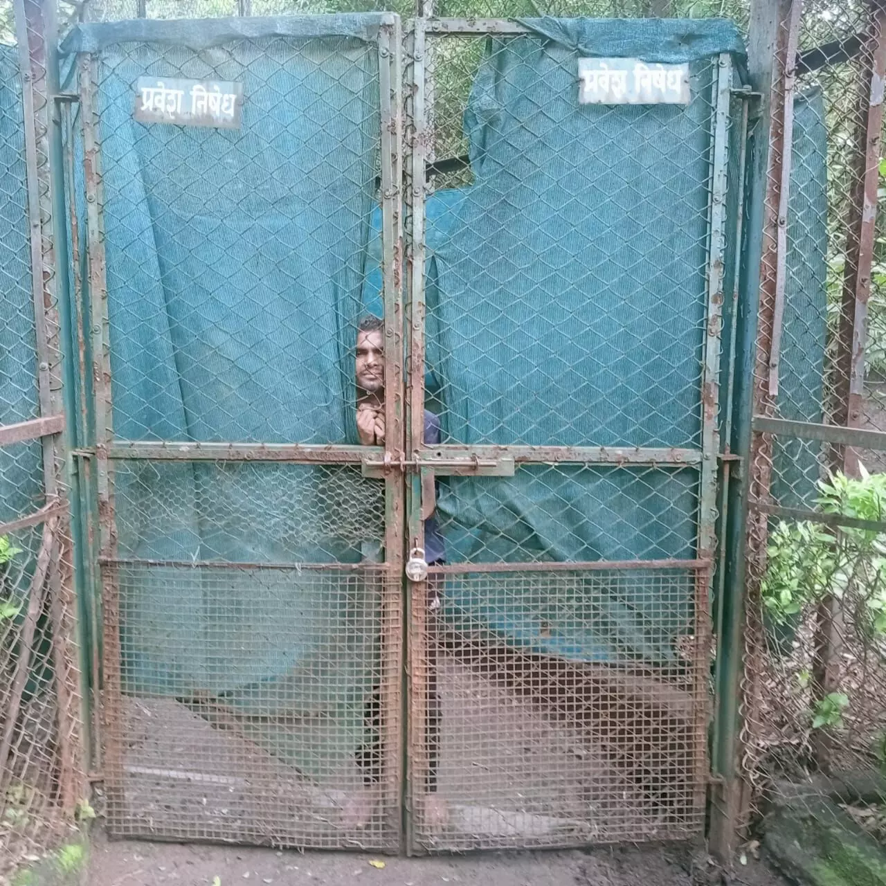 नागपुर के महाराजबाग में बाघ के पिंजरे में जा पहुंचा शख्स, सुरक्षा व्यवस्था पर सवाल नागपुर के महाराजबाग में बाघ के पिंजरे में जा पहुंचा शख्स, सुरक्षा व्यवस्था पर सवाल