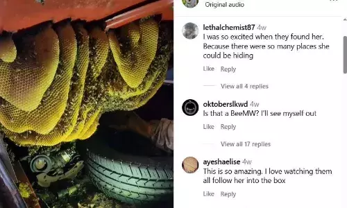 कैलिफोर्निया में काई सालों से खड़ी एक पुरानी कार, अंदर से आती थी भिनभिनाहट की आवाज! वजह जानकर लोगों के खड़े हो गए रौंगटे!