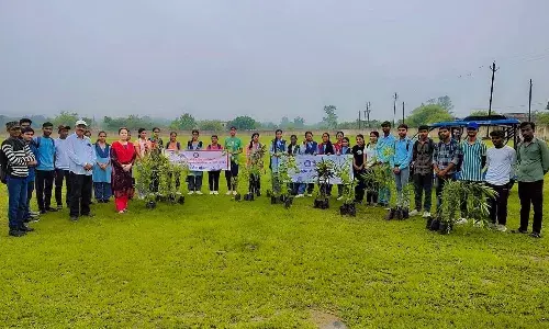 छत्रशाल महाविद्यालय में सफाई अभियान के साथ किया गया पौधारोपण