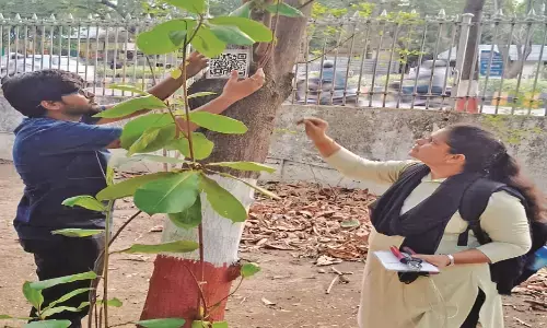 अब एक क्लिक पर होगी पेड़ों की पहचान, छात्रों का अनोखा डिजिटल बॉटनी प्रोजेक्ट