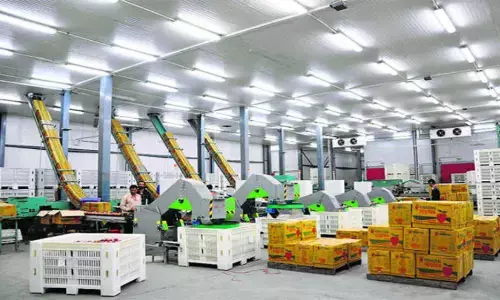 महाराष्ट्र में कोल्ड चेन योजना के तहत 49 परियोजनाएं स्वीकृत, 31 का काम पूरा केंद्र महाराष्ट्र में कोल्ड चेन योजना के तहत 49 परियोजनाएं स्वीकृत, 31 का काम पूरा केंद्र