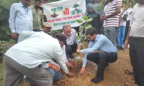 एक पेड़ माँ के नाम अभियान के तहत पटना तमोली में प्रेरणादायक पौधरोपण कार्यक्रम