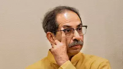 मनसे के साथ गठबंधन पर फैसला पार्टी के नेताओं के साथ चर्चा करके होगा - उद्धव ठाकरे मनसे के साथ गठबंधन पर फैसला पार्टी के नेताओं के साथ चर्चा करके होगा - उद्धव ठाकरे