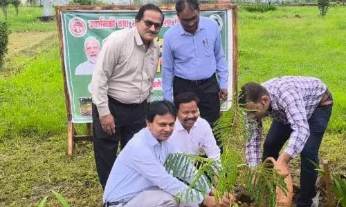 लाडली लक्ष्मी वाटिका में रोपे पौधे, कलेक्टर सहित अन्य अधिकारियों ने किया पौधरोपण