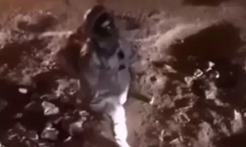 धीरे-धीरे चलते हुए शख्स ने बनाया वीडियो, देखने में लग रहा था चांद, लेकिन फिर हुआ कुछ ऐसा कि लोगों की नहीं रुक पाई हंसी!