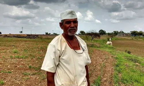 एनएमएनएफ के तहत महाराष्ट्र के 2 लाख से ज्यादा किसान पंजीकृत, मिट्टी के नमूने एकत्रित एनएमएनएफ के तहत महाराष्ट्र के 2 लाख से ज्यादा किसान पंजीकृत, मिट्टी के नमूने एकत्रित