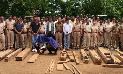 अमरावती में सागौन चोरों ने वन रक्षक व वनपाल पर किया पथराव अमरावती में सागौन चोरों ने वन रक्षक व वनपाल पर किया पथराव