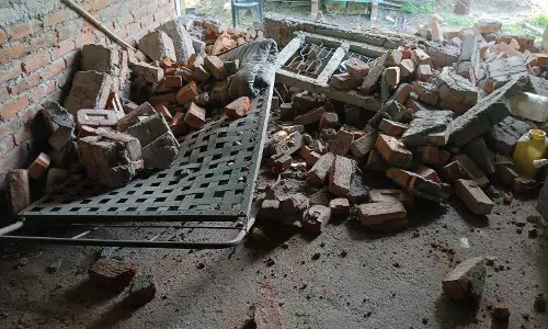 गड़चिरोली के चामोर्शी शहर की दहलीज पर पहुंचा टस्कर हाथी, खेतों में मचाया उत्पात