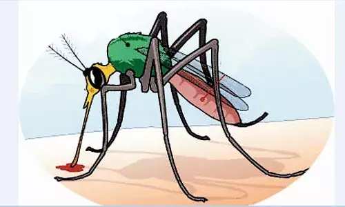 घर-घर सर्वे, अब तक 1.96 लाख बुखार पीड़ितों की जांच घर-घर सर्वे, अब तक 1.96 लाख बुखार पीड़ितों की जांच