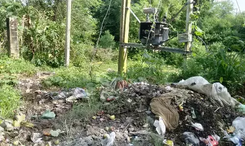 पन्ना-अमानगंज मार्ग पर स्थित द्वारी गांव में गंदगी का अंबार, जलाशय हुआ प्रदूषित पन्ना-अमानगंज मार्ग पर स्थित द्वारी गांव में गंदगी का अंबार, जलाशय हुआ प्रदूषित