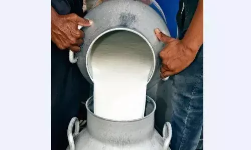 दूसरे जिलों के दूध के रेट का परीक्षण कराने के बाद लिया जाएगा एक्शन दूसरे जिलों के दूध के रेट का परीक्षण कराने के बाद लिया जाएगा एक्शन