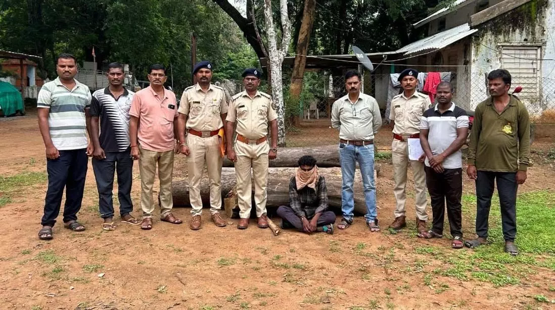 गडचिरोली में वन विभाग ने 2.27 लाख का सागौन किया जब्त, 3 गिरफ्तार गडचिरोली में वन विभाग ने 2.27 लाख का सागौन किया जब्त, 3 गिरफ्तार