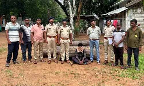 गडचिरोली में वन विभाग ने 2.27 लाख का सागौन किया जब्त, 3 गिरफ्तार