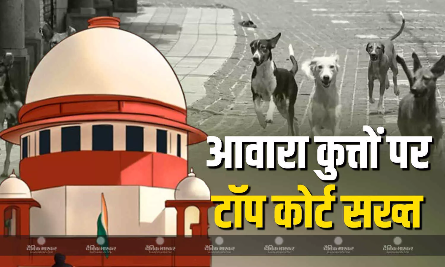 आवारा कुत्तों के बढ़ते खतरे पर शीर्ष कोर्ट सख्त, कड़ी नाराजगी जाहिर करते हुए प्रशासन को दिए सख्त निर्देश आवारा कुत्तों के बढ़ते खतरे पर शीर्ष कोर्ट सख्त, कड़ी नाराजगी जाहिर करते हुए प्रशासन को दिए सख्त निर्देश