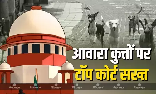 आवारा कुत्तों के बढ़ते खतरे पर शीर्ष कोर्ट सख्त, कड़ी नाराजगी जाहिर करते हुए प्रशासन को दिए सख्त निर्देश आवारा कुत्तों के बढ़ते खतरे पर शीर्ष कोर्ट सख्त, कड़ी नाराजगी जाहिर करते हुए प्रशासन को दिए सख्त निर्देश