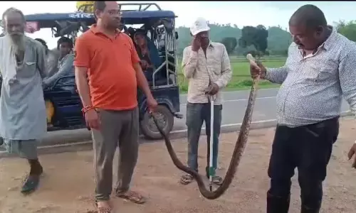 घर में घुसे १३ फिट लंबे अजगर को किया रेस्क्यू, जंगल में सुरक्षित विचरण के लिए छोडा