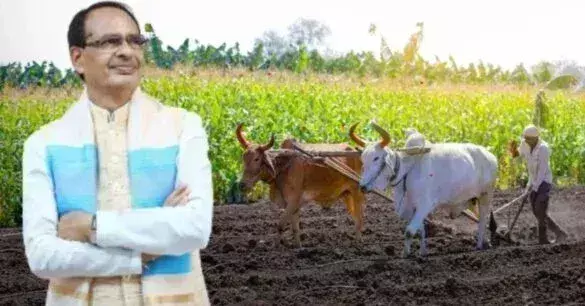 शिवराज बोले - प्रधानमंत्री ने सदैव राष्ट्र हित में लिए हैं मजबूत फैसले, किसान संगठन ने जताया आभार शिवराज बोले - प्रधानमंत्री ने सदैव राष्ट्र हित में लिए हैं मजबूत फैसले, किसान संगठन ने जताया आभार