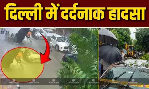 मूसलाधार बारिश के चलते दिल्ली में बड़ा हादसा, वाहनों पर अचानक से गिरा पेड़, 1 की मौत, RED अलर्ट जारी