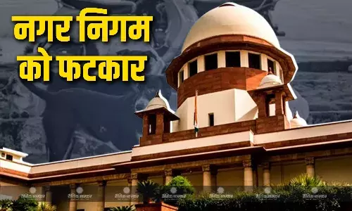 नगर निगम को फटकार लगा कर फैसला रखा सुरक्षित, आवारा कुत्तों के मामले पर SC की सुनवाई, जानें क्या दी गईं दलीलें?