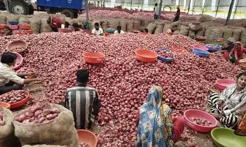 बांग्लादेश में प्याज आयात पर पाबंदी कायम, किसानों और व्यापारियों की चिंता बढ़ी बांग्लादेश में प्याज आयात पर पाबंदी कायम, किसानों और व्यापारियों की चिंता बढ़ी