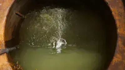 पति की आत्महत्या के बाद पत्नी ने कुएं में लगा दी छलांग, वियोग सहन नहीं कर सकी