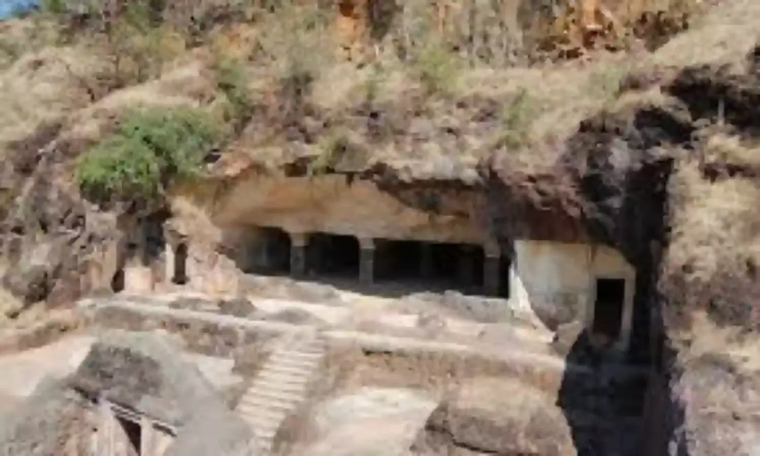 चंद्रपुर में जंगली जानवरों के हमले से 7 माह में 25 की मौत, धाराशिव गुफाओं के आसपास पर्यटन विकास का प्रस्ताव नहींं