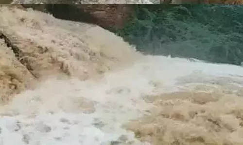 पारोला झरने के तालाब में डूबकर युवक की मौत, उफनते नाले के तेज बहाव में बहा पारोला झरने के तालाब में डूबकर युवक की मौत, उफनते नाले के तेज बहाव में बहा