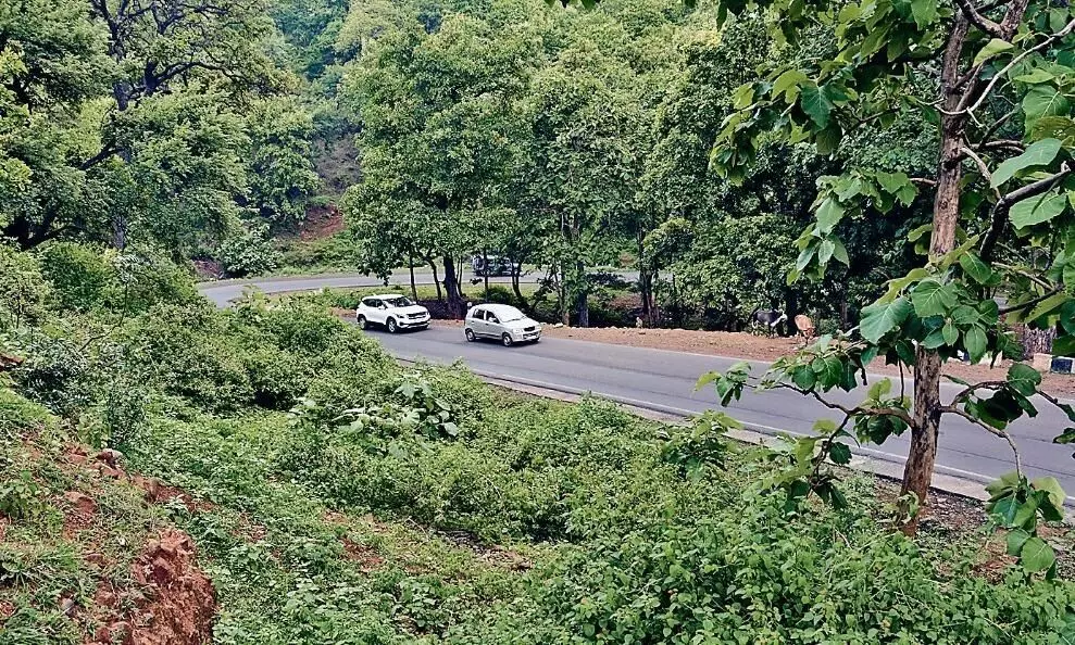 अमझर घाटी बनेगी बड़ा जंक्शन पॉइंट, बनाया जाएगा फ्लाईओवर अमझर घाटी बनेगी बड़ा जंक्शन पॉइंट, बनाया जाएगा फ्लाईओवर