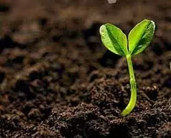 ग्रामीण में बनाई जाएगी गोंदिया जिले में 15 मृदा परीक्षण प्रयोगशाला ग्रामीण में बनाई जाएगी गोंदिया जिले में 15 मृदा परीक्षण प्रयोगशाला