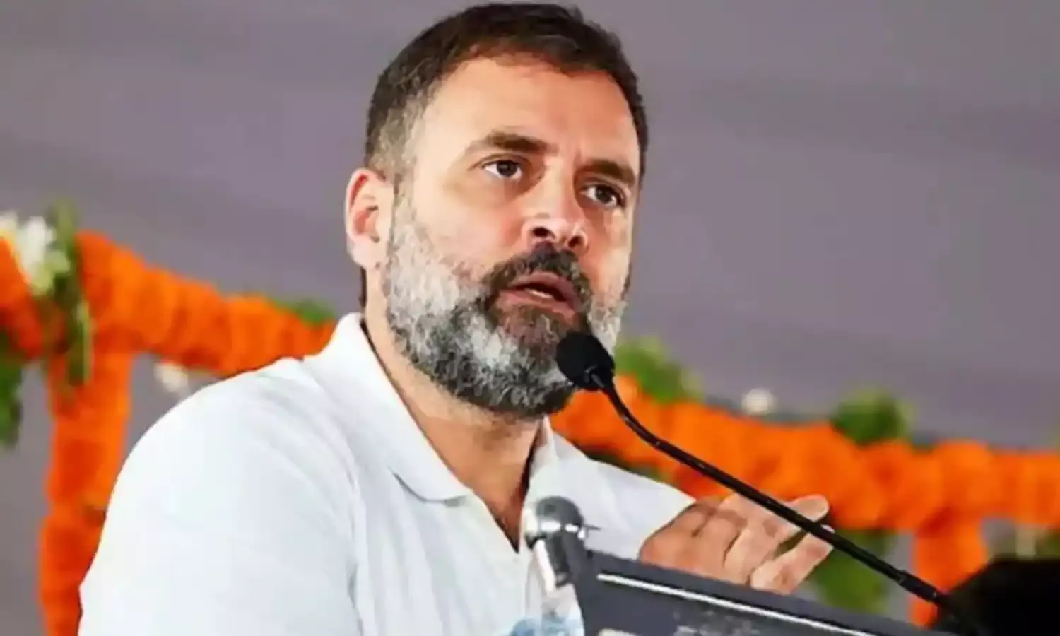 CSDS डायरेक्टर संजय कुमार के महाराष्ट्र चुनाव डेटा से जुड़े पोस्ट डिलीट करने पर BJP ने ली चुटकी, राहुल गांधी के वोट चोरी वाले आरोप पर कसा तंज