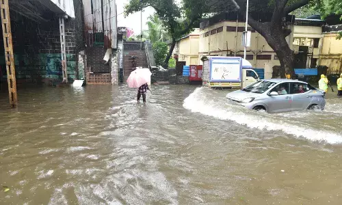 महाराष्ट्र में भारी बारिश से लगभग 14 लाख एकड़ फसल बर्बाद