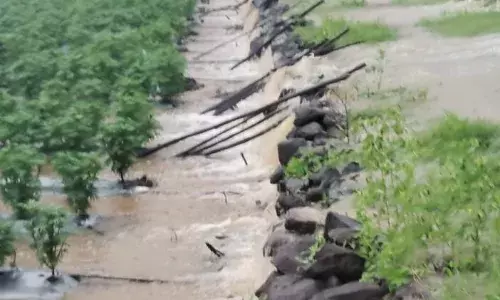 पालाखेड़ में नहर टूटी, पानी खेतों में समाया, फसलों को नुकसान