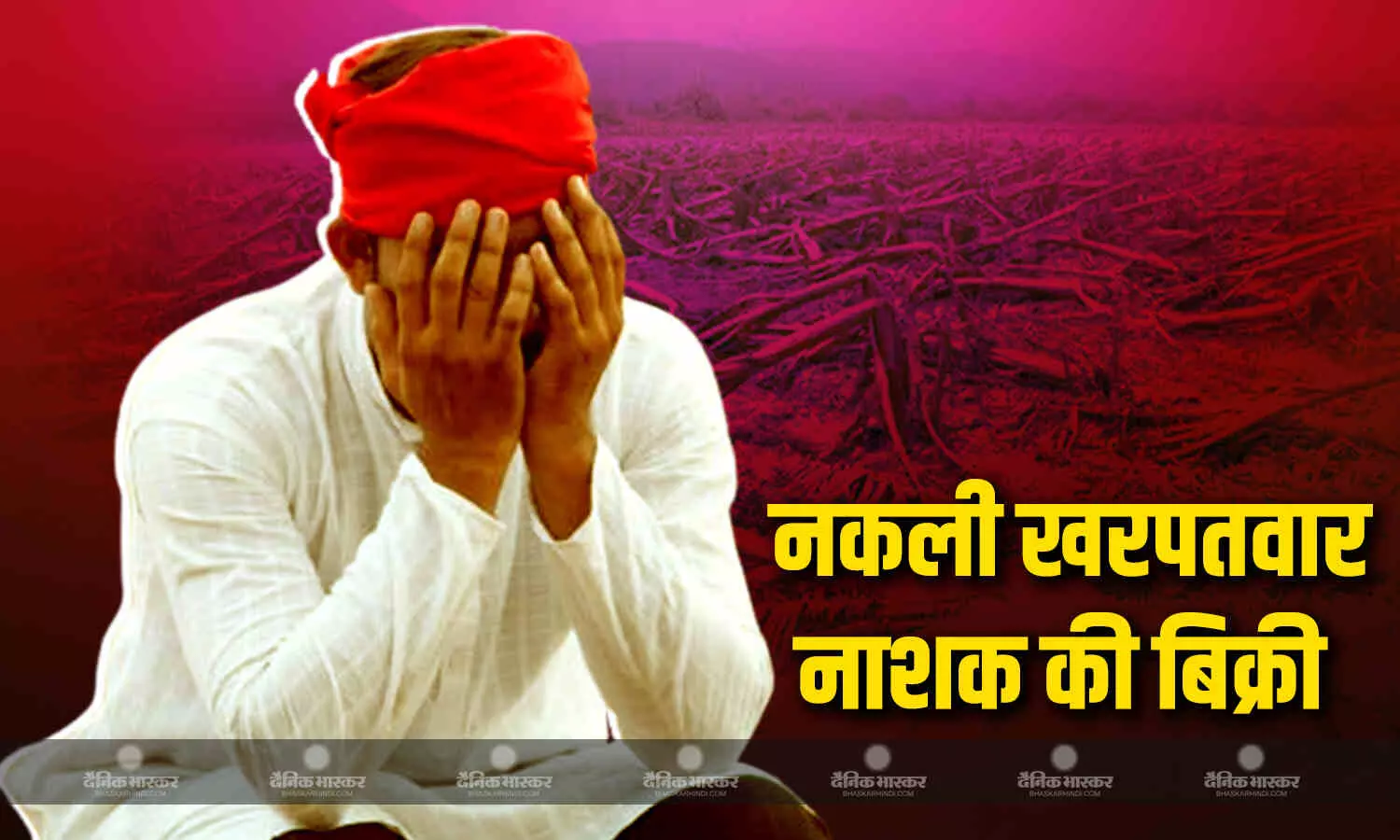 खरपतवार नाशक के नमूने घटिया पाए गए, विदिशा, देवास और धार में डिफॉल्टर कंपनी पर एफआईआर खरपतवार नाशक के नमूने घटिया पाए गए, विदिशा, देवास और धार में डिफॉल्टर कंपनी पर एफआईआर