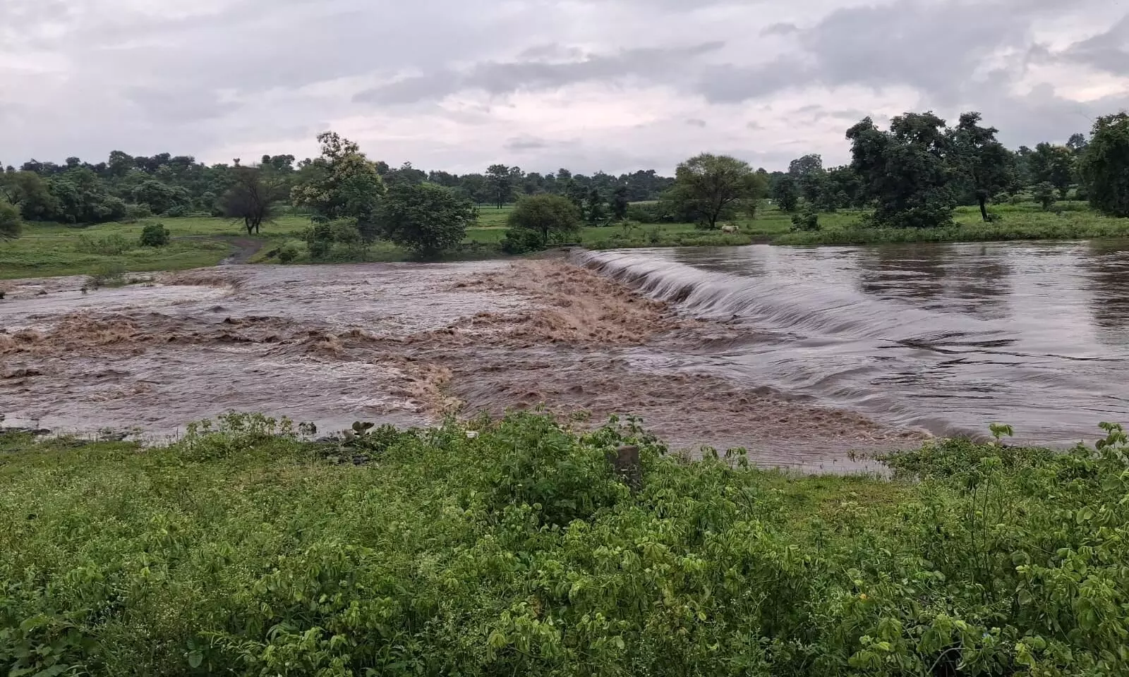 एकाएक बढ़ा सर्पा नदी का जलस्तर, बैल बहते-बहते बचा, खेत से घर लौट रहे किसान व मजदूर किनारे पर अटके एकाएक बढ़ा सर्पा नदी का जलस्तर, बैल बहते-बहते बचा, खेत से घर लौट रहे किसान व मजदूर किनारे पर अटके