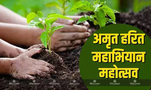 नगरीय निकायों को दिया एक करोड़ से ज्यादा पौधरोपण का लक्ष्य, जबलपुर में रोपे गए 13 फीसदी पौधे