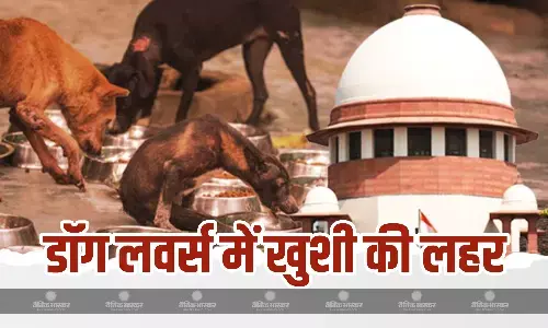 सुप्रीम कोर्ट ने बदला 11 अगस्त का फैसला, डॉग लवर्स ने जाहिर की खुशी, मेनका गांधी ने क्या कहा? जानें सुप्रीम कोर्ट ने बदला 11 अगस्त का फैसला, डॉग लवर्स ने जाहिर की खुशी, मेनका गांधी ने क्या कहा? जानें