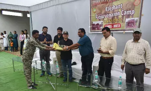 पन्ना टाइगर रिजर्व अंतर्गत हांथी रेजुवेनेशन कैम्प का समापन