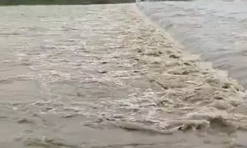 मूसलाधार बारिश से उफान पर नदियां-नाले, खेतों में घुसा पानी - फसलों को नुकसान