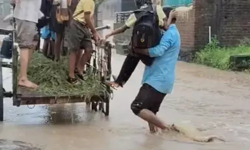 अमरावती में एक घंटे मूसलाधार से स्कूल बना तालाब, फंसे छात्र अमरावती में एक घंटे मूसलाधार से स्कूल बना तालाब, फंसे छात्र