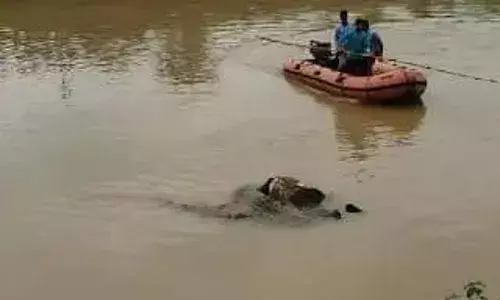 बरगी पुलिस ने किया अंधे कत्ल का खुलासा, महिला सहित तीन आरोपी गिरफ्तार, रेत ठेकेदार की हत्या कर नहर में फेंकी थी लाश