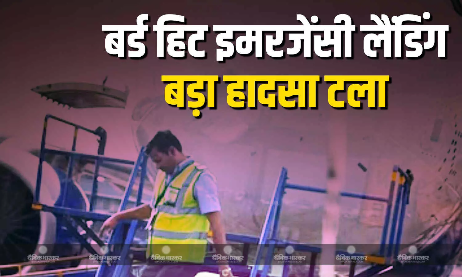 इंडिगो विमान से टकराया पक्षी, नागपुर में करानी पड़ी इमरजेंसी लैंडिंग इंडिगो विमान से टकराया पक्षी, नागपुर में करानी पड़ी इमरजेंसी लैंडिंग