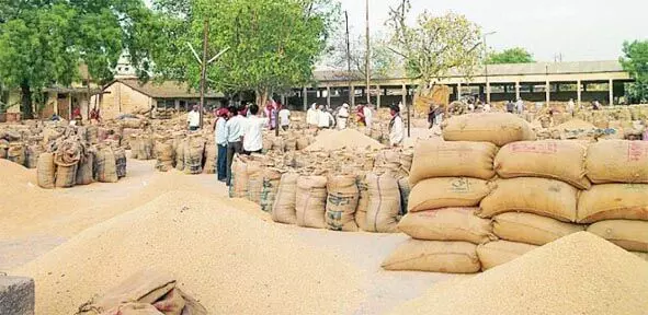 उचित दाम की प्रतीक्षा में भंडारा के धान उत्पादक किसान उचित दाम की प्रतीक्षा में भंडारा के धान उत्पादक किसान
