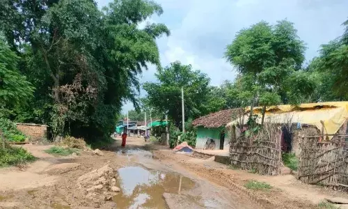 विकास की राह में रोड़ा बनी बदहाल सड़क, जिले के सगरा गांव की दास्तान विकास की राह में रोड़ा बनी बदहाल सड़क, जिले के सगरा गांव की दास्तान